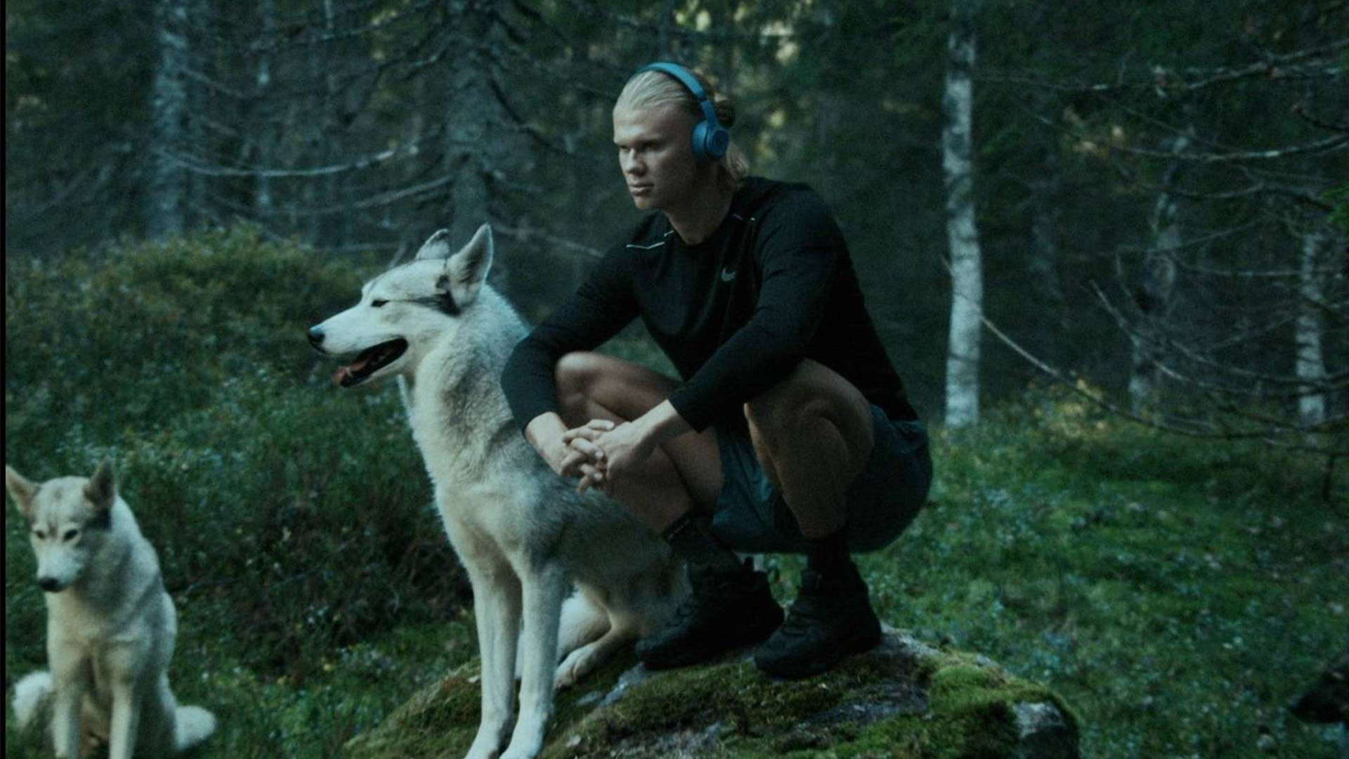 的球隊能夠 的球隊能夠